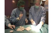 HISPA prevencija šloga i dijagnoza sinkope - ugradnja implantabilnih loop rekordera