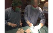 HISPA prevencija šloga i dijagnoza sinkope - ugradnja implantabilnih loop rekordera