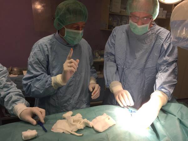 HISPA prevencija šloga i dijagnoza sinkope - ugradnja implantabilnih loop rekordera