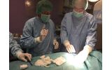 HISPA prevencija šloga i dijagnoza sinkope - ugradnja implantabilnih loop rekordera
